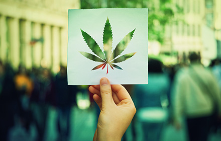 Holding Paper with Shape of Marijuana Leaf