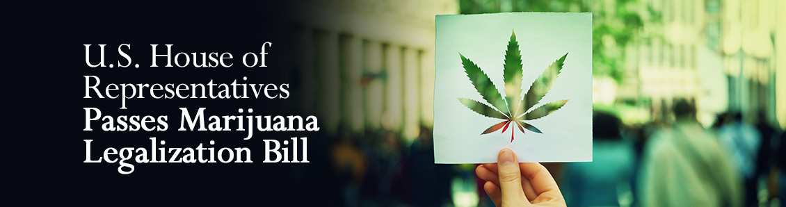 Holding Paper with Marijuana Leaf Shape