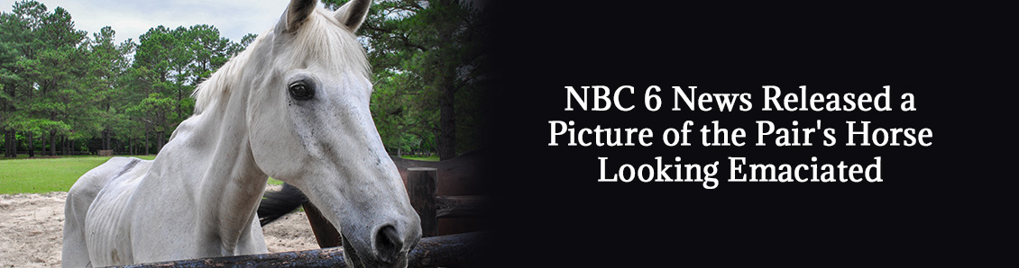 Close-up of Horse Inside a Stable As Couple Faces Charges for Starving Their Own Horses