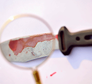 Picture of Finger Print Evidence Used in Solving a Crime By Florida Criminal Law Enforcement