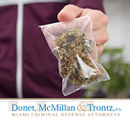 Picture of a Man Trafficking in Cannabis. In the Case of an Arrest Immediately Call Miami Drug Crime Lawyers