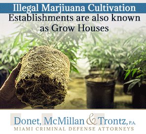 Illegal Marijuana Cultivation Establishments are also known as Grow Houses. Learn More About Common Trafficking Crimes from Miami Drug Crime Lawyers Picture of a Grow House in Miami. It's Owners Were in Need of Miami Drug Crime Lawyers