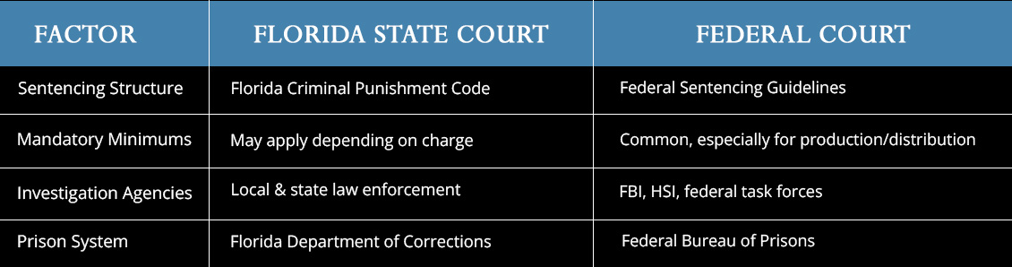 Graphic Detailing the Differences Between Florida's Federal and State Court Systems